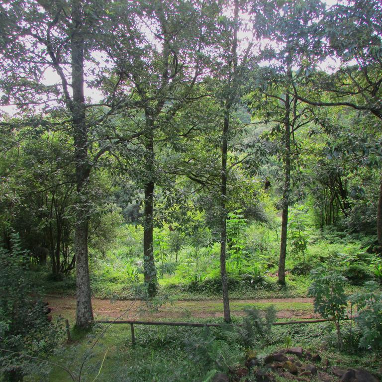 Old Pine Cabin Karkloof Ярроу Экстерьер фото
